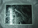 长期供应夏普 LQ150X1LGN7  15寸现货