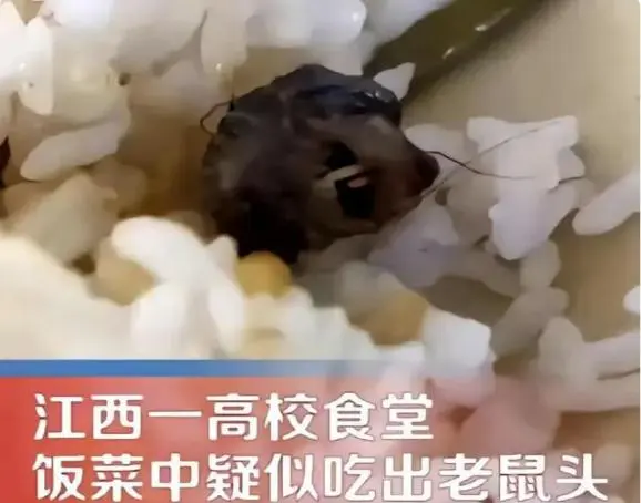 江西高校指鼠为鸭事件